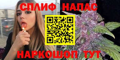 дмт Обнинск