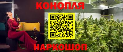 шишки Обь