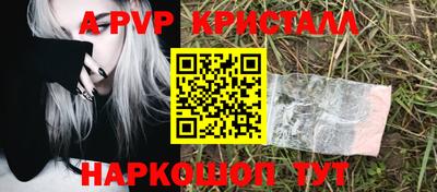 шишки Обь