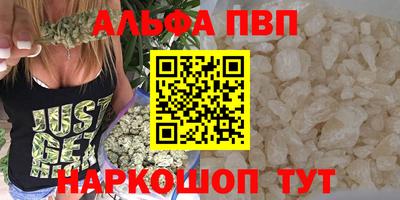 шишки Обь