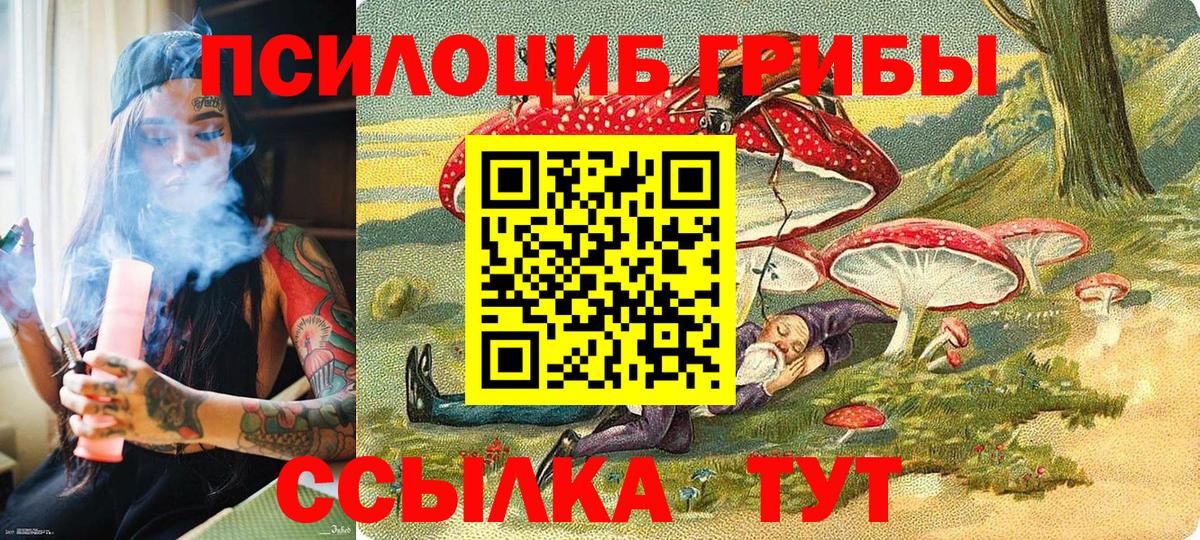 Галлюциногенные грибы мицелий Солнечногорск